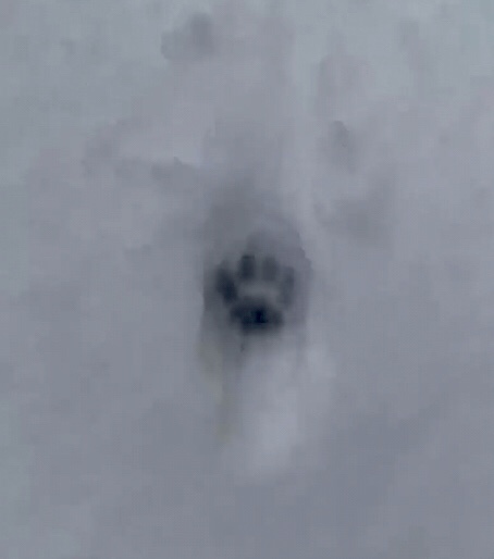 Kleine Schritte – große Wirkung