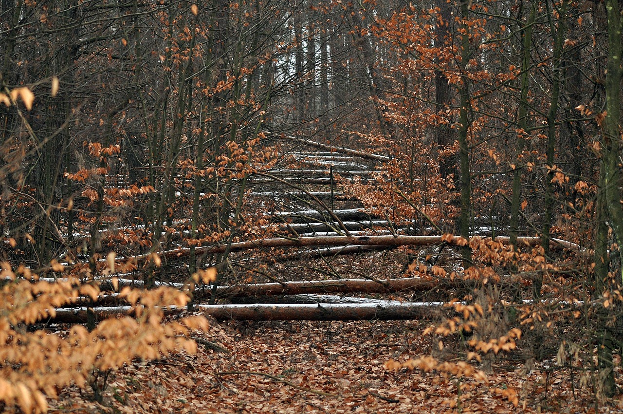 Glaubenshindernisse